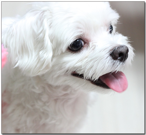 ๊ท์ฌ์ด ๋งํฐ์ฆ