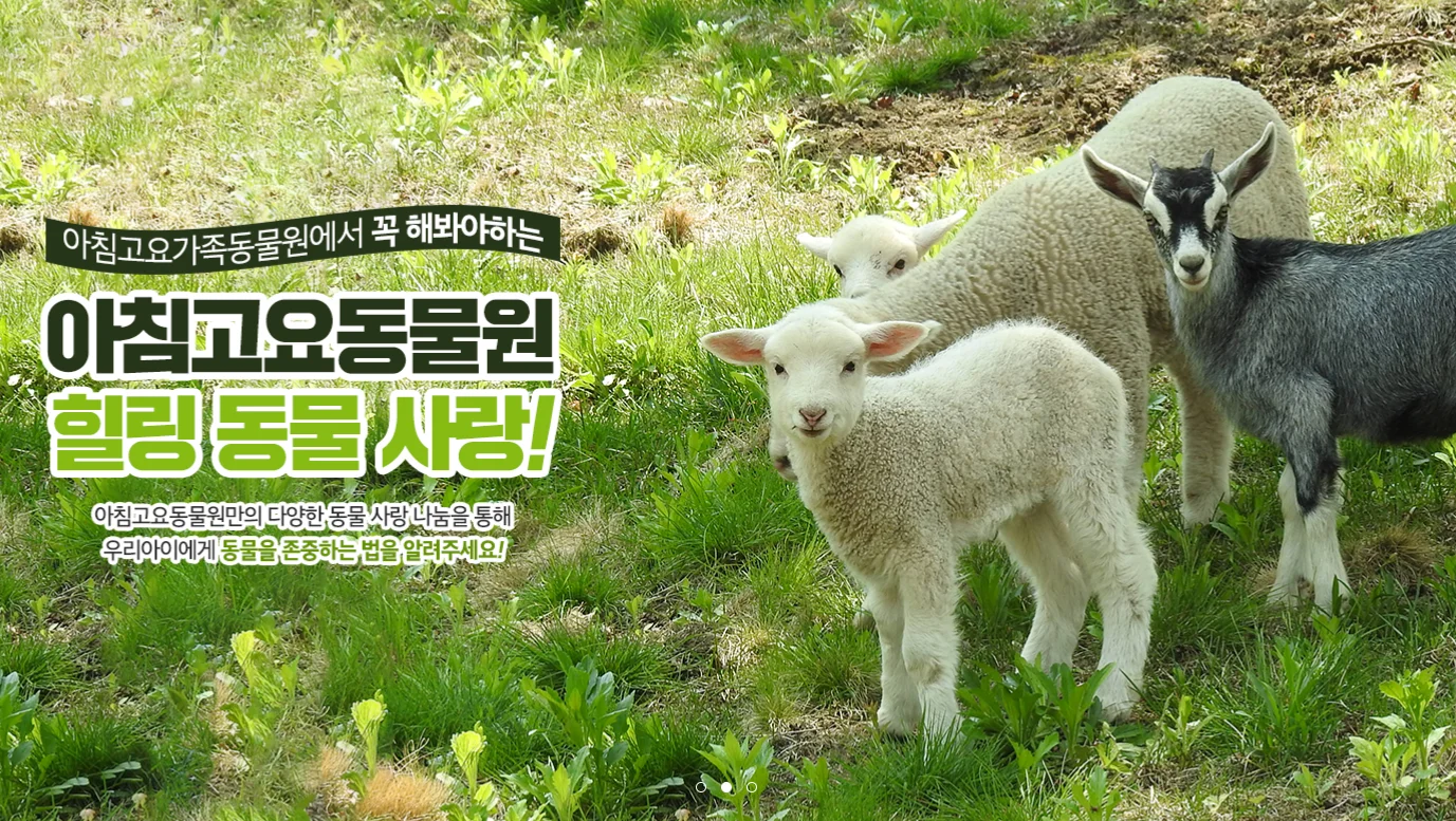 아침고요수목원 들국화전시회