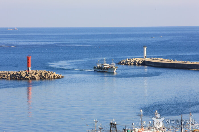 포항울산드라이브코스 호팡 구룡포