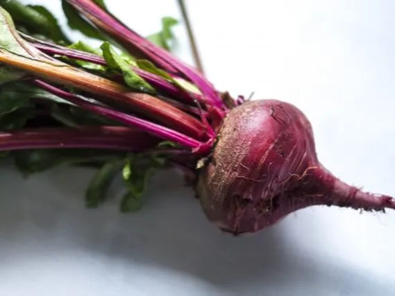 생으로 먹는 비트