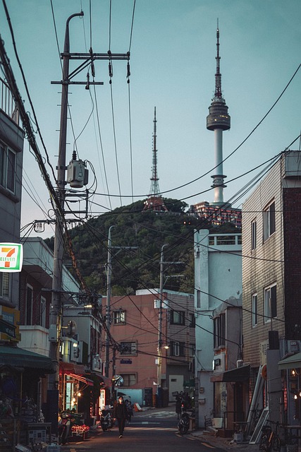 월디페와 함께 즐기는 서울 명소