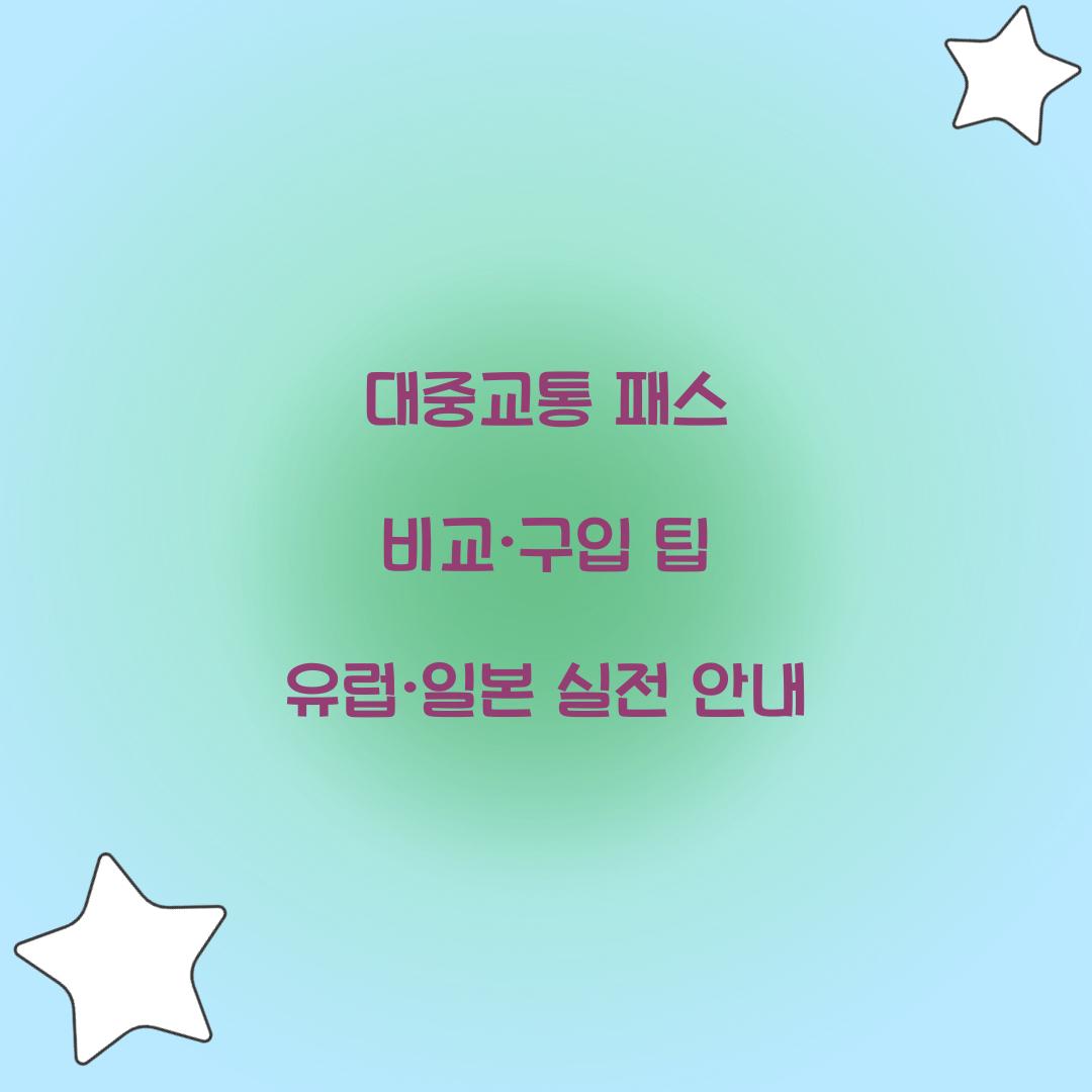 대중교통 패스