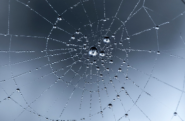 디지털 시대의 절약법: 앱과 기술을 활용한 스마트 절약