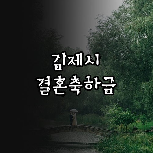 김제시 신혼부부 필독! 2025 결혼..