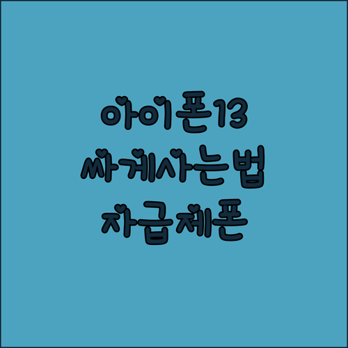 아이폰 13 구매 가이드 자급제폰, 