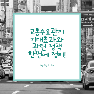 교통수요관리(TDM) 기대 효과 및 관련 정책