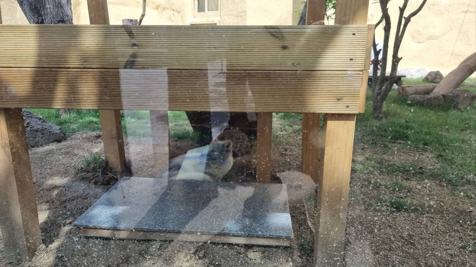 순천만국가정원 서문 동물원