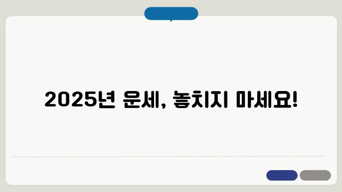 2025년 무료 신년운세