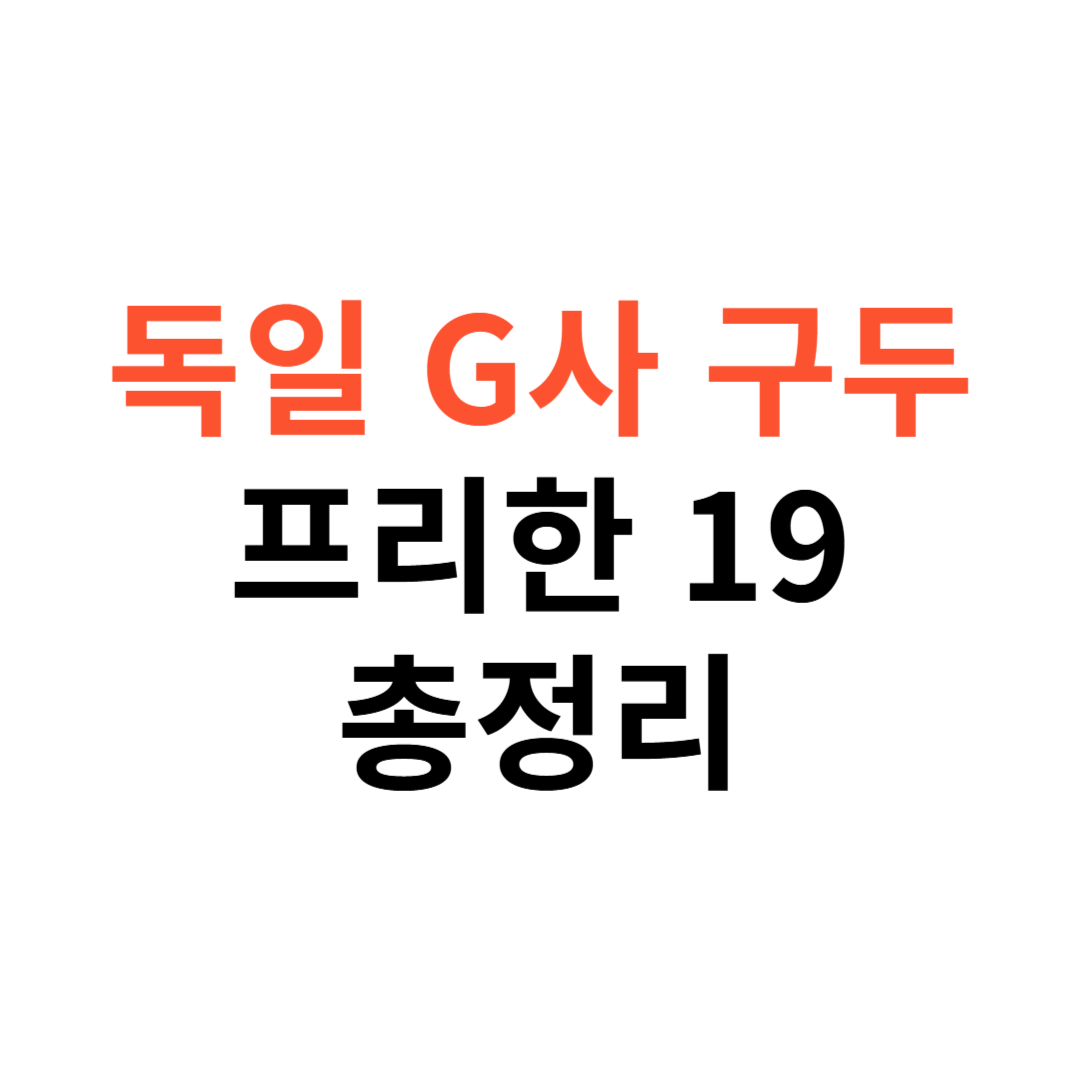 독일 G사 구두