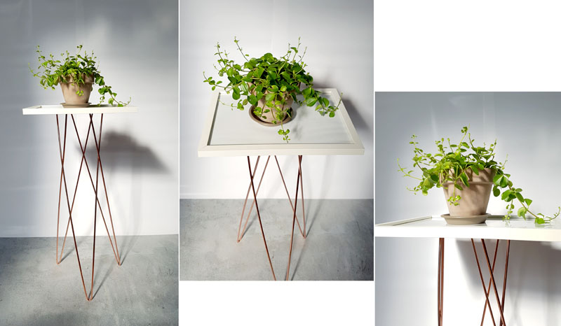 플랜트-스탠드-신홀리페페