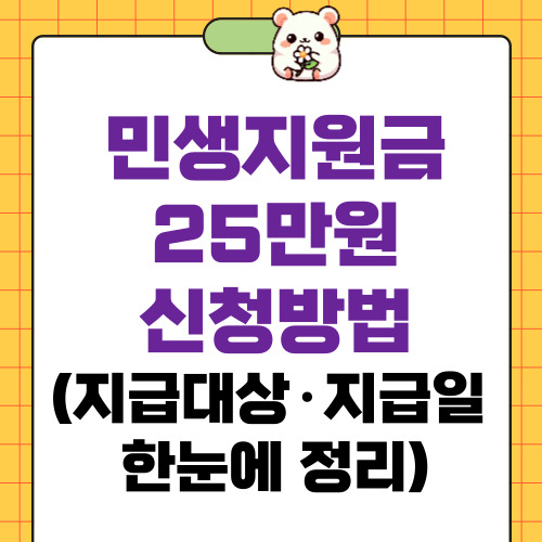 민생지원금 25만원