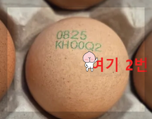 달걀 난각번호