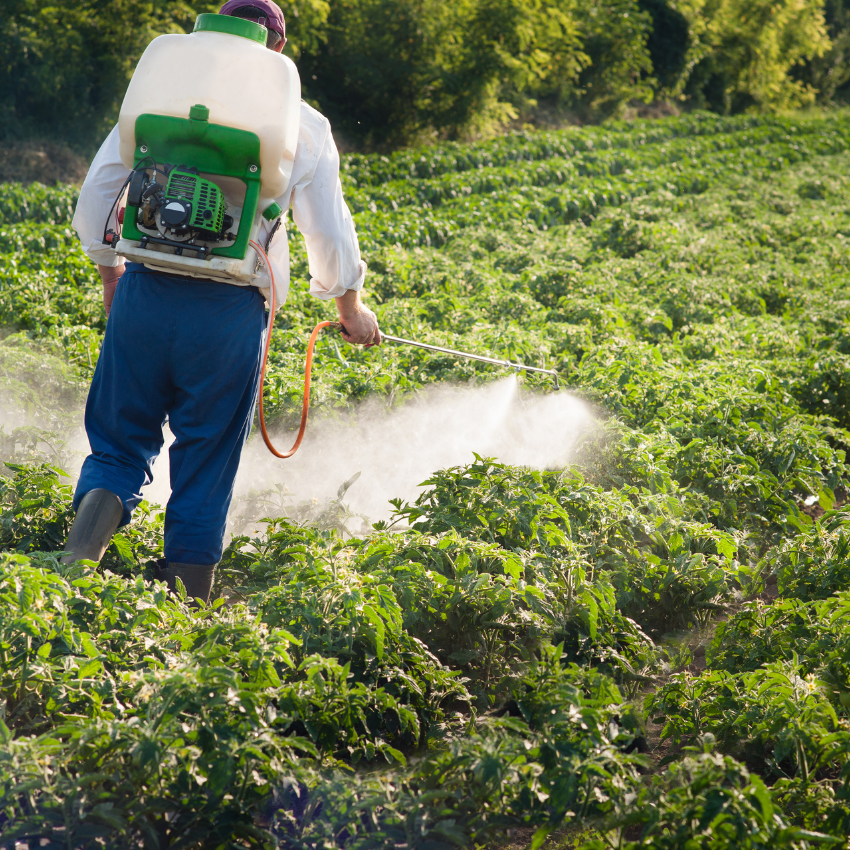 모기 퇴치 꿀팁_19