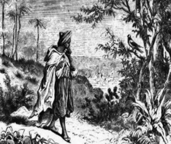 신비로운 발견의 순간