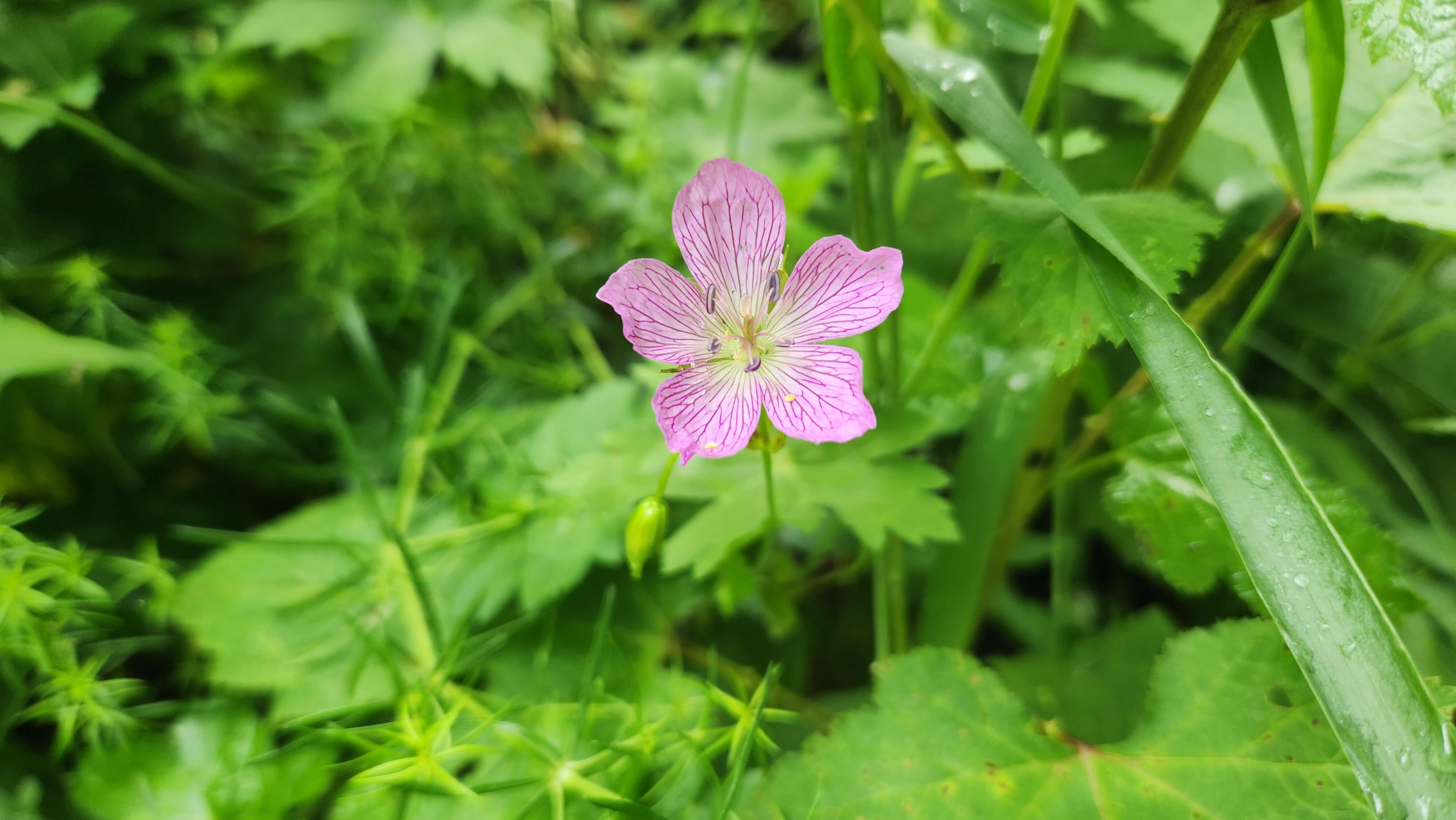 태백산 국립공원 태백산 민박촌 예약