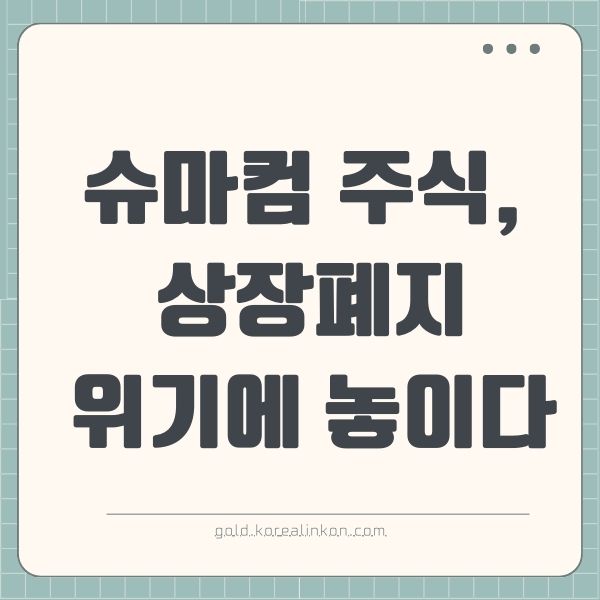 슈마컴(SMCI) 주식, 상장폐지 위기에 놓이다