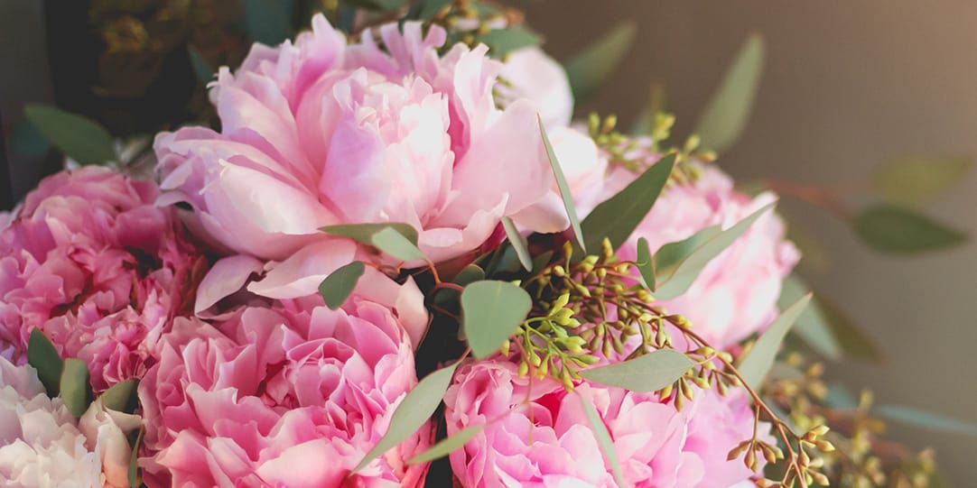 위장 질환으로 힘들다면 작약추출물! 효능 알아보고 섭취해요