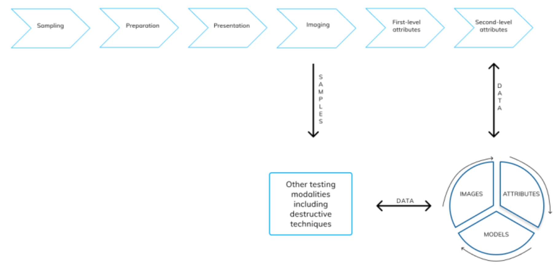 [AI 트렌드] AI는 어디에 쓰이고 있나?(농업편) #1 : 디지털 육종부터 스펙트럴 이미징까지