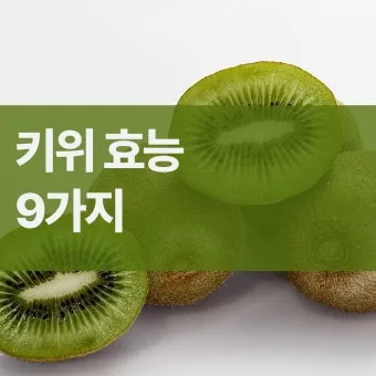 키위 효능과 부작용 비타민 풍부한 과일 정보_8
