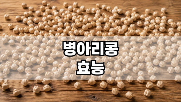 병아리콩 효능