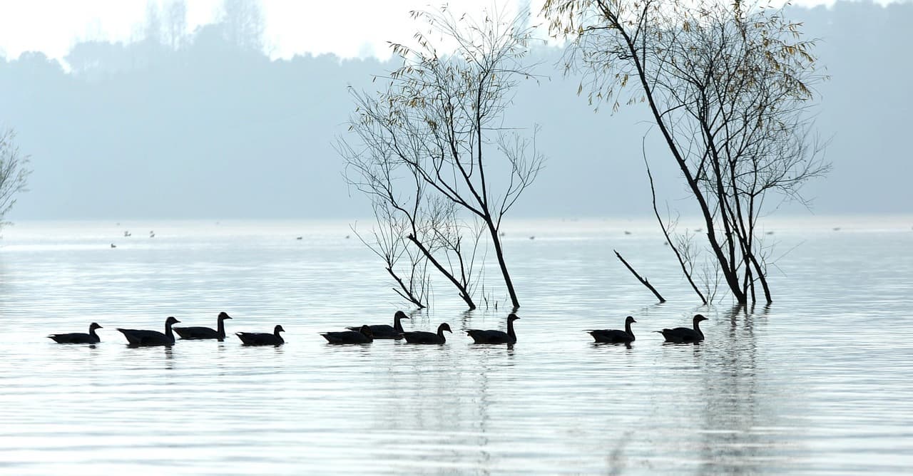 스트레스·수면이 혈압에 미치는 영향과 관리법