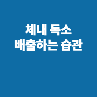 체내 독소 배출 습관