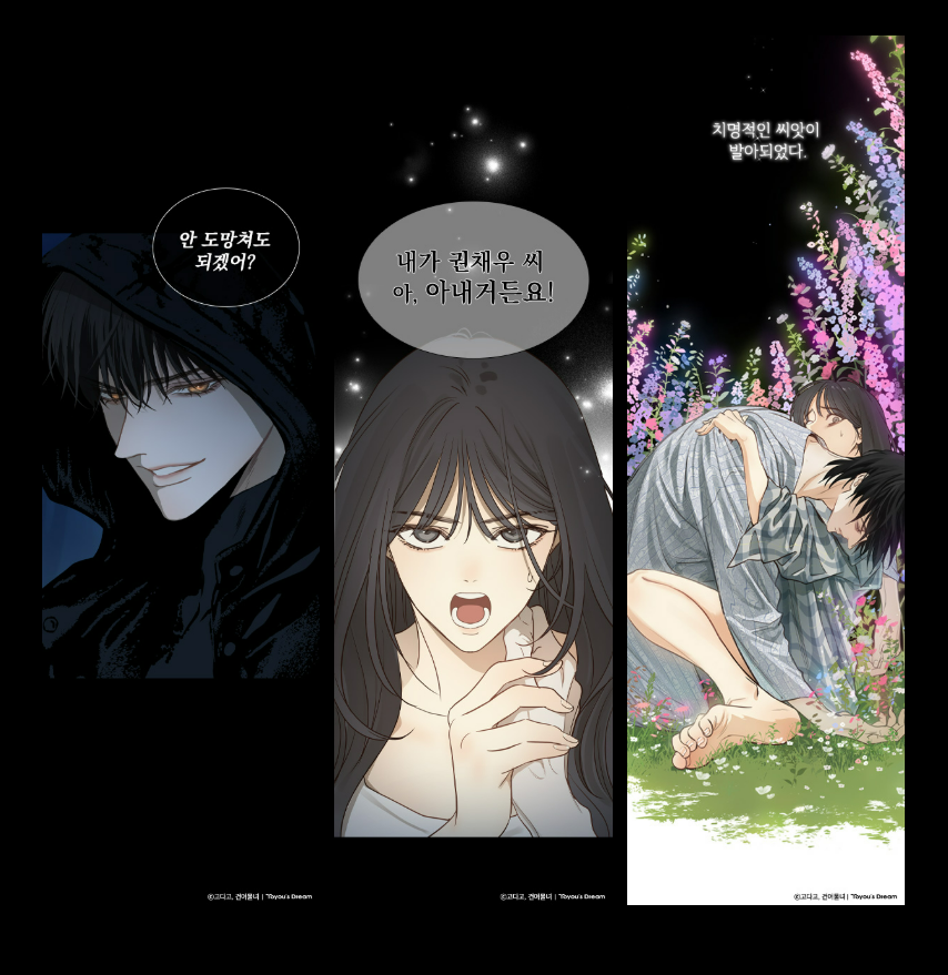 꽃은미끼야웹툰,로맨스 웹툰 추천,리디웹툰 후기,기억상실 로맨스,거짓 결혼 이야기,건어물녀 고다고