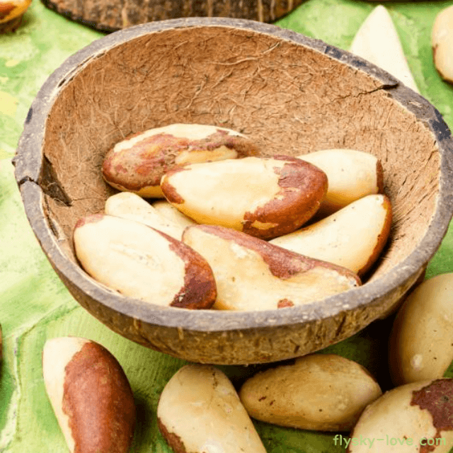 브라질 너트 효능