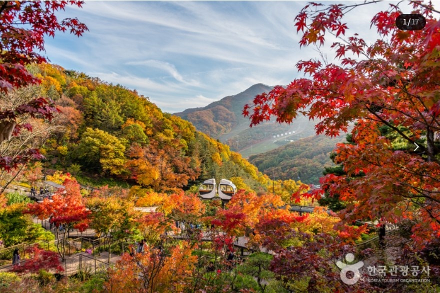 대한민국 구석구석 (가을 여행 할인 혜택)