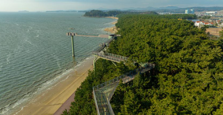 장항송림산림욕장 장항스카이워크