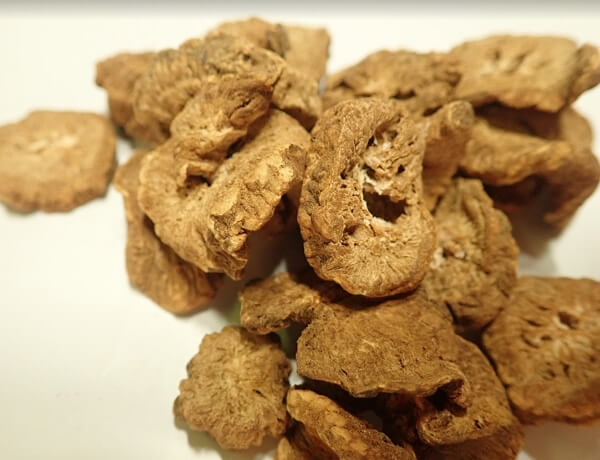 우엉-차-조각과-끓인-차