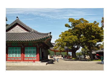 통영 유람선터미널 시간표 확인 사이트