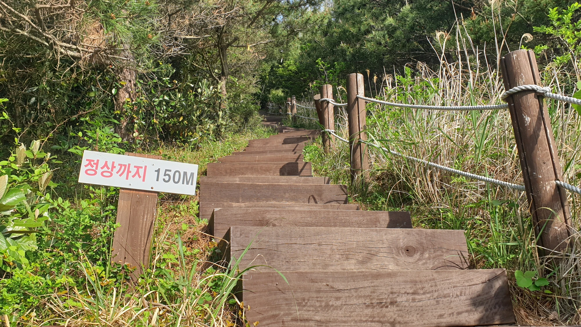 정상으로 가는 계단