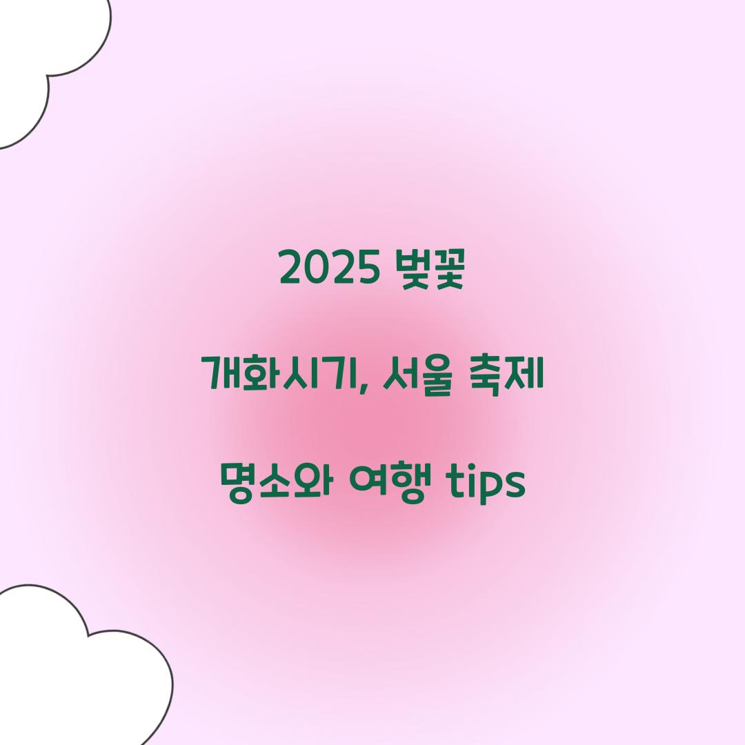 2025 벚꽃 개화