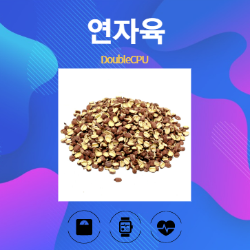 연자육