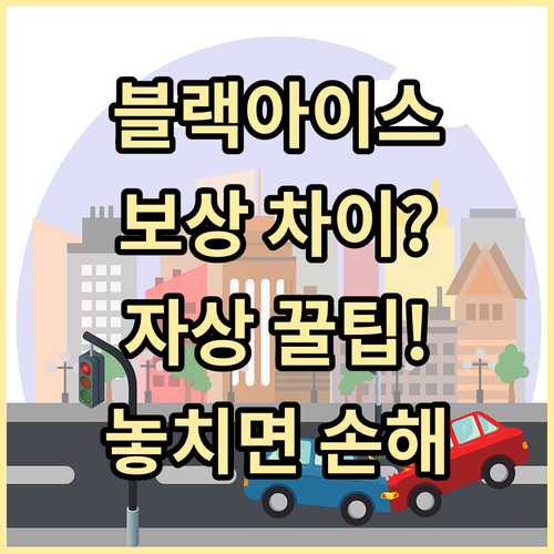 블랙아이스 사고 보상 차이점 자손 대..