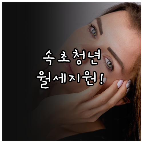 속초시 청년월세 특별지원 복지로 온라..