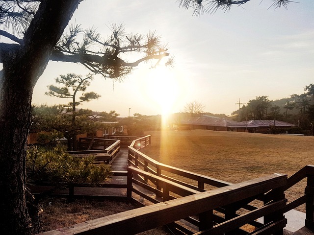 해돋이 명소