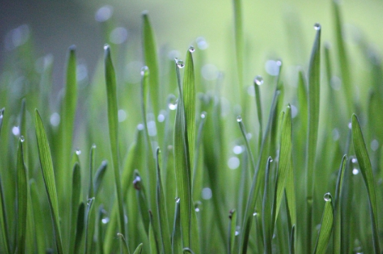 기본형 공익직불금 신청