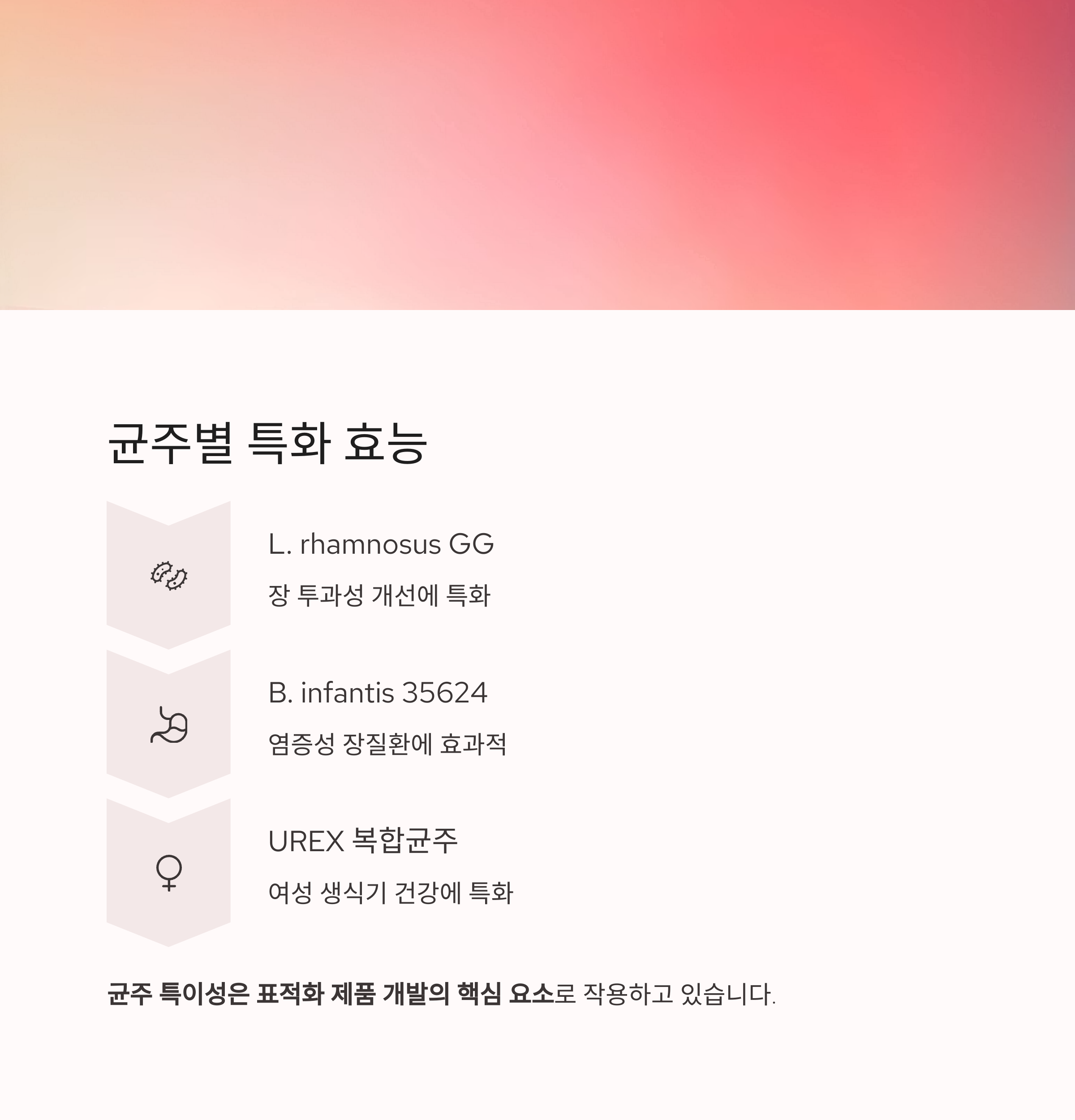 균주별 특화 효능