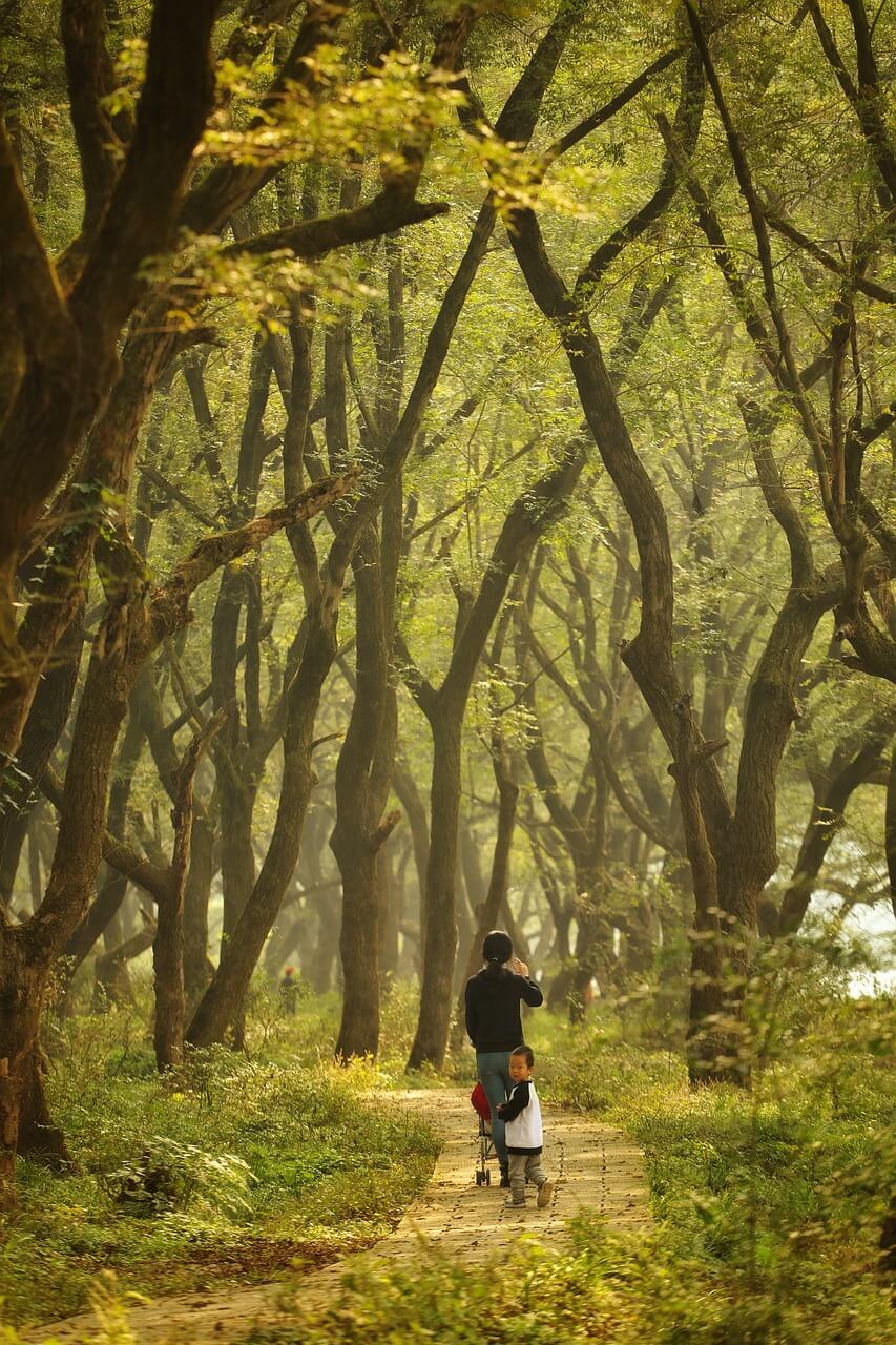 에너지 절약형 스마트 가전 제품 추천: 전기와 물을 아끼는 최신 기술
