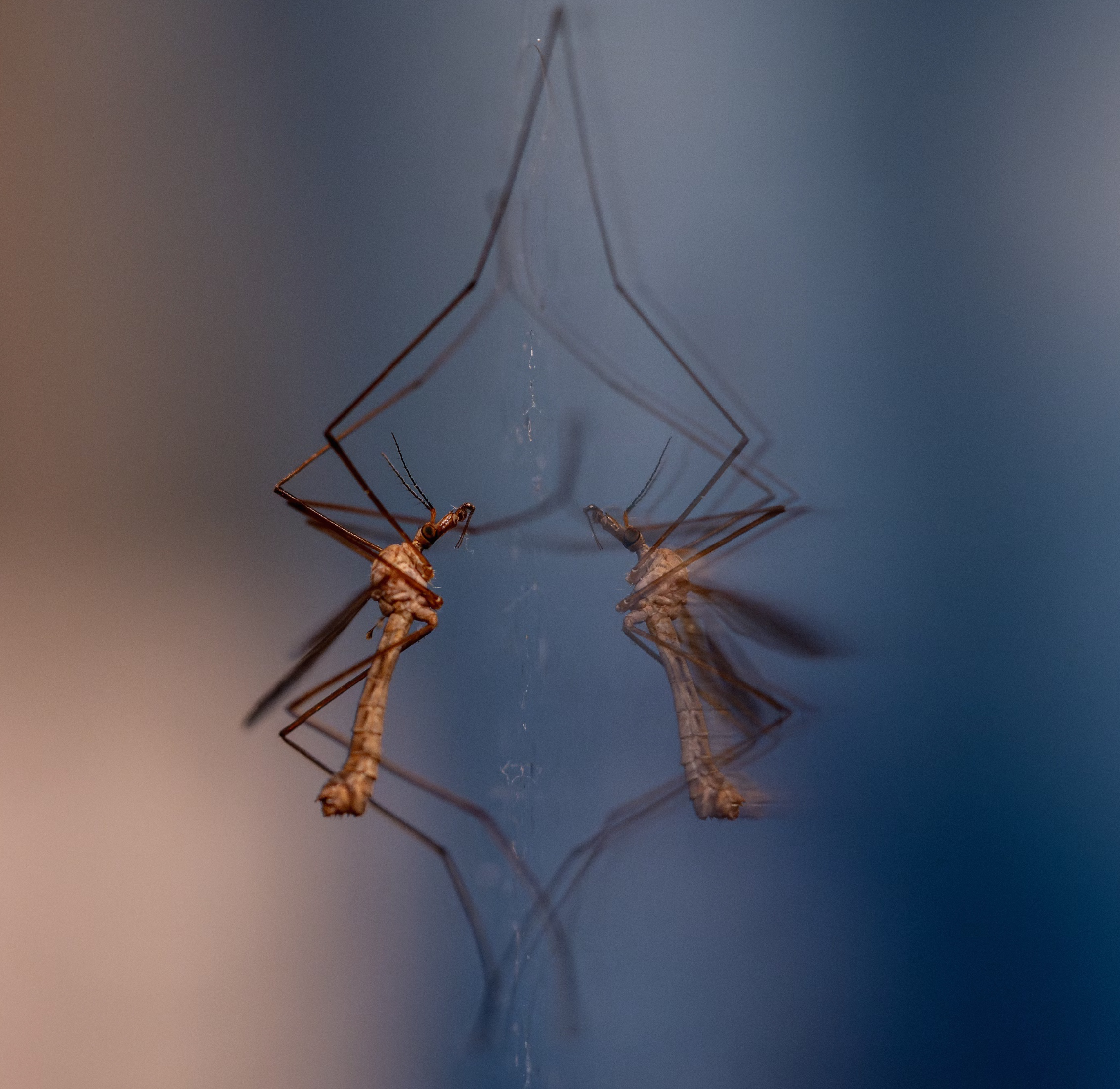 모기추적기 원리