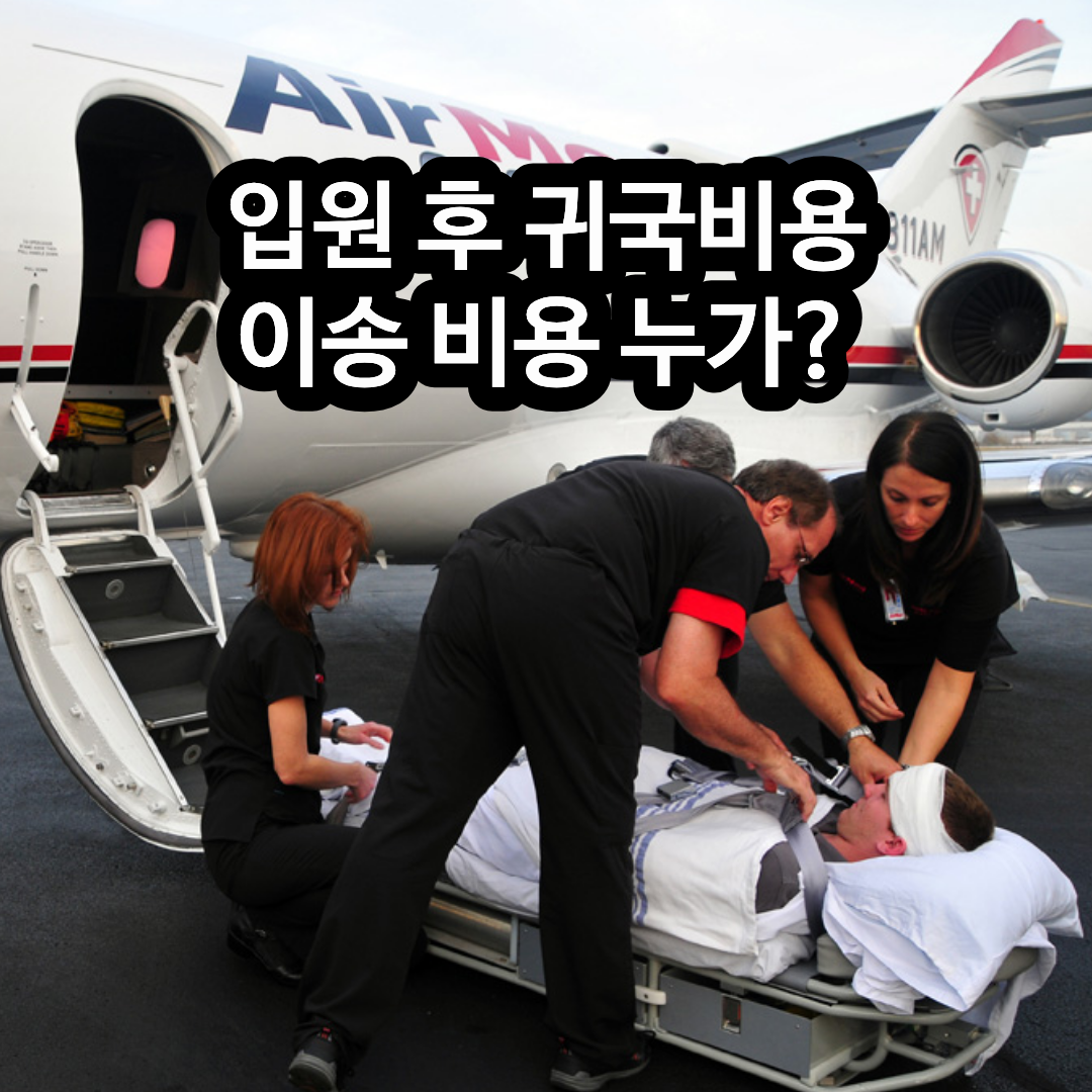 해외에서 입원하면 귀국 비용은 누가 내나 보험 보장 범위 총정리