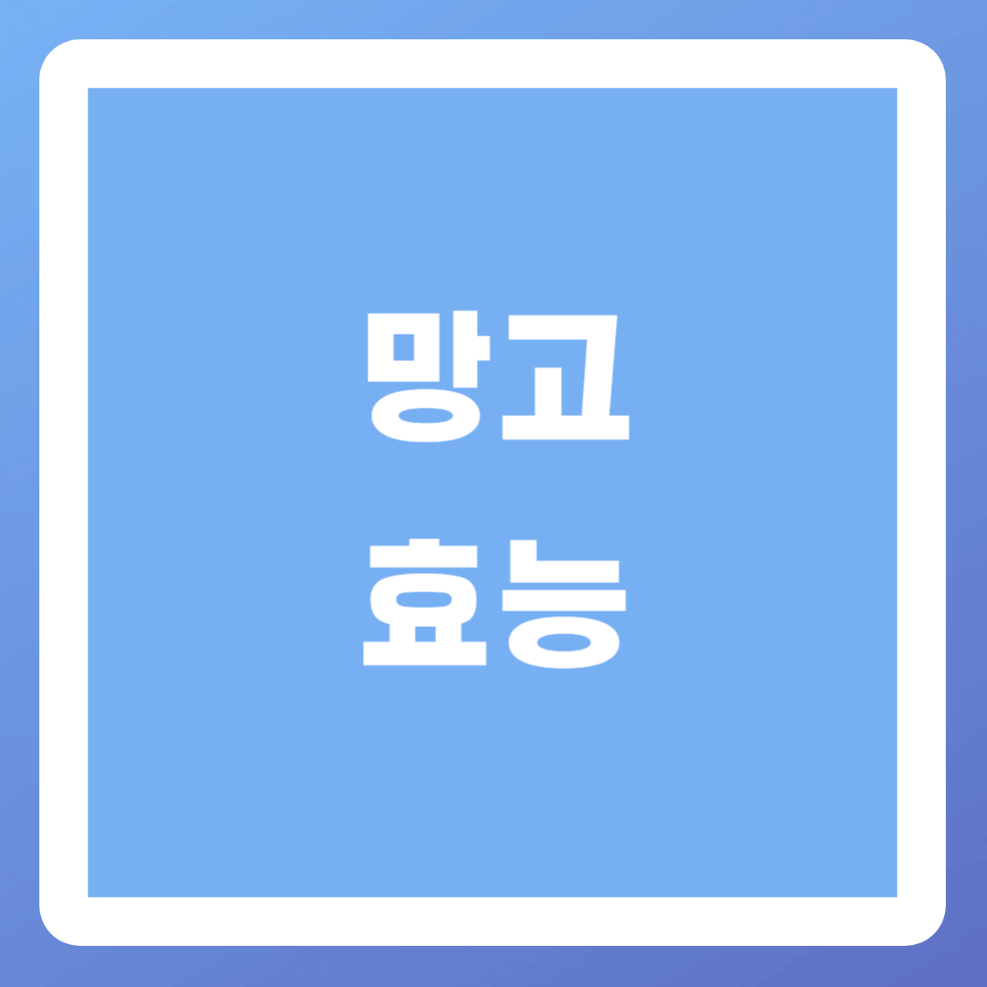 망고-효능