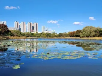 일산 가볼만한곳 베스트10 숨겨진 명소_12