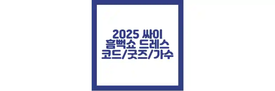 2025 싸이 흠뻑쇼 드레스코드 포스팅 섬네일