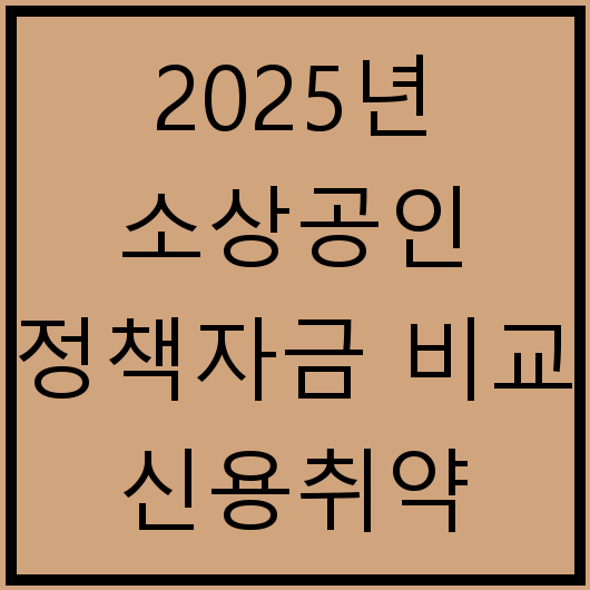 2025년 소상공인 정책자금 비교 신용취약 혁신성장 경영애로