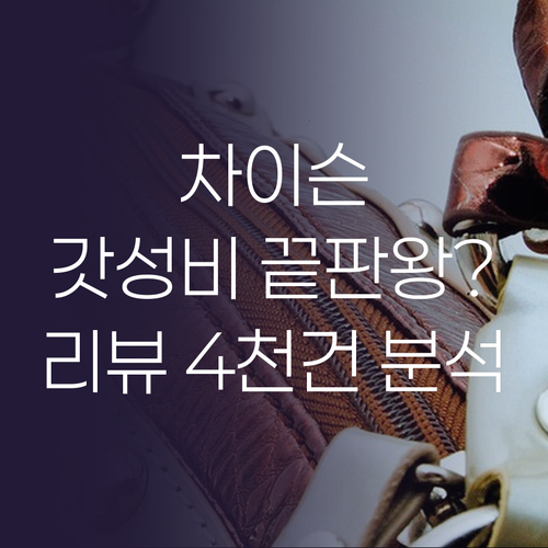 차이슨 무선 청소기 BLDC V50 ..