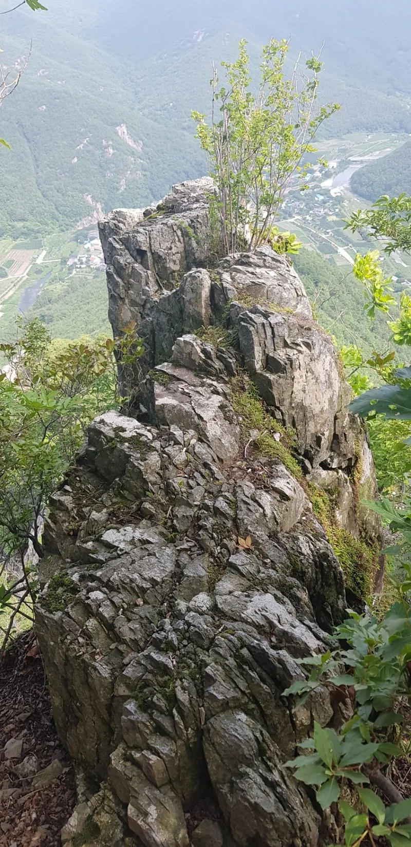 청도 복호산