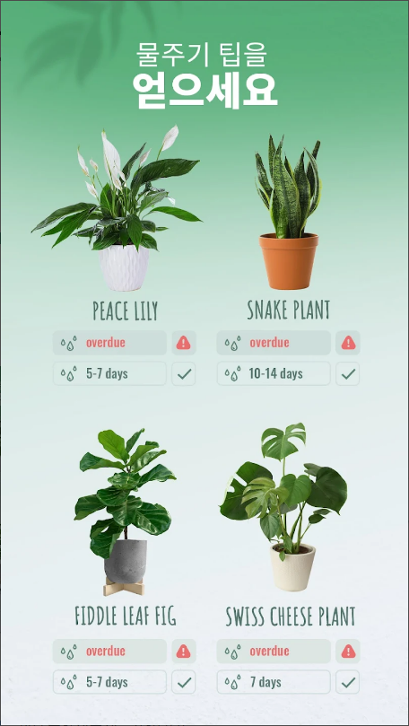 Blossom, 식물 식별, 식물 돌봄 가이드, 조도계, 카메라로 식물을 촬영하면 해당하는 종류와 정보를 식별